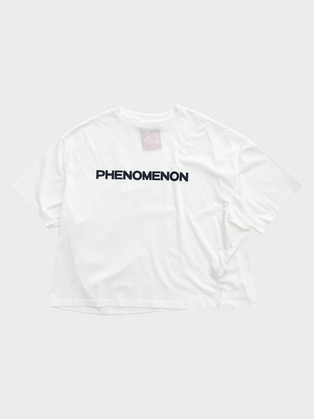 PHENOMENON by FUMITO GANRYU / GRAFFITI T-SHIRT(WHITE)