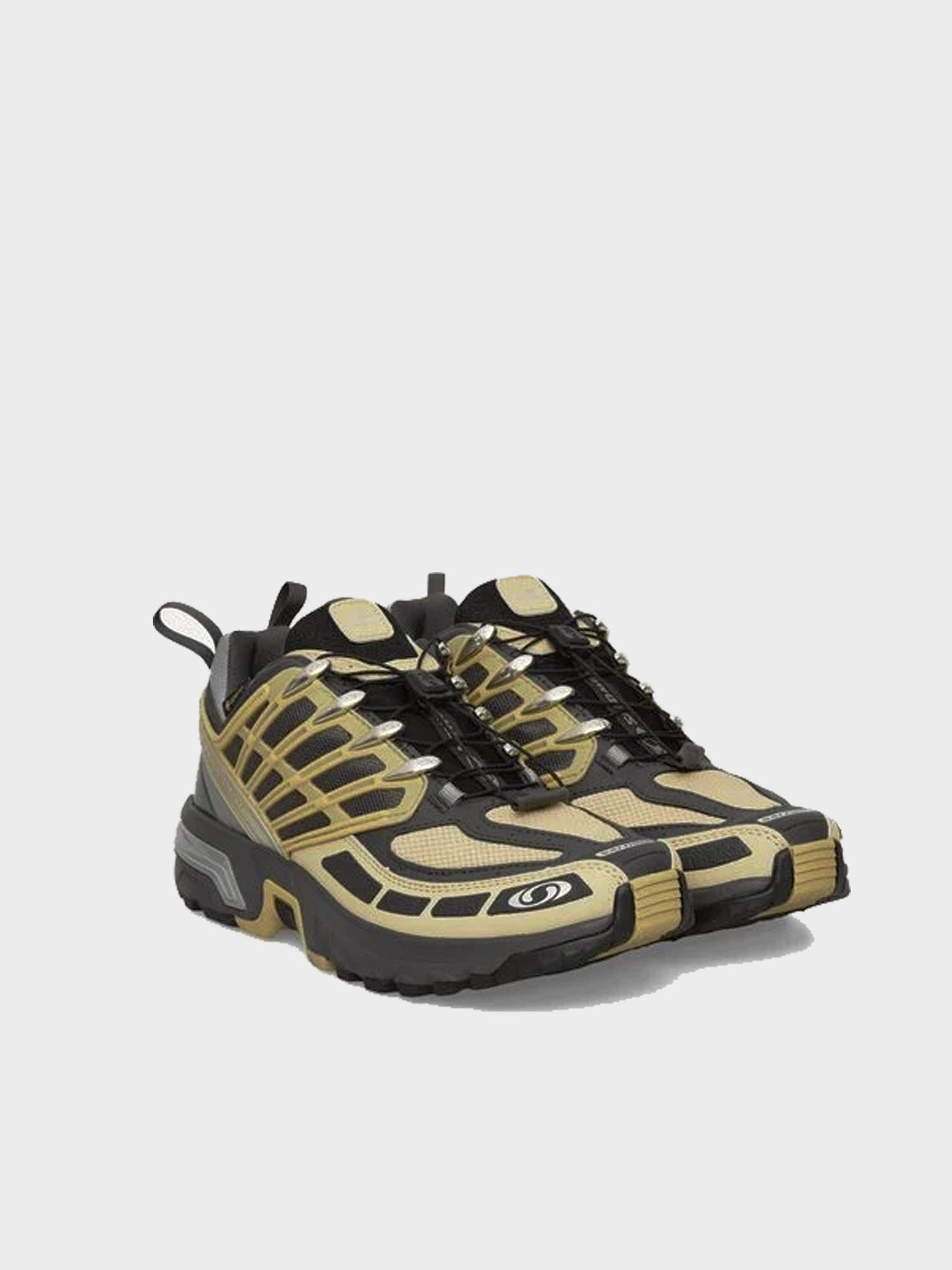SALOMON / ACS-PRO GTX (GRAY GREEN / ASPHALT / MONUMENT)