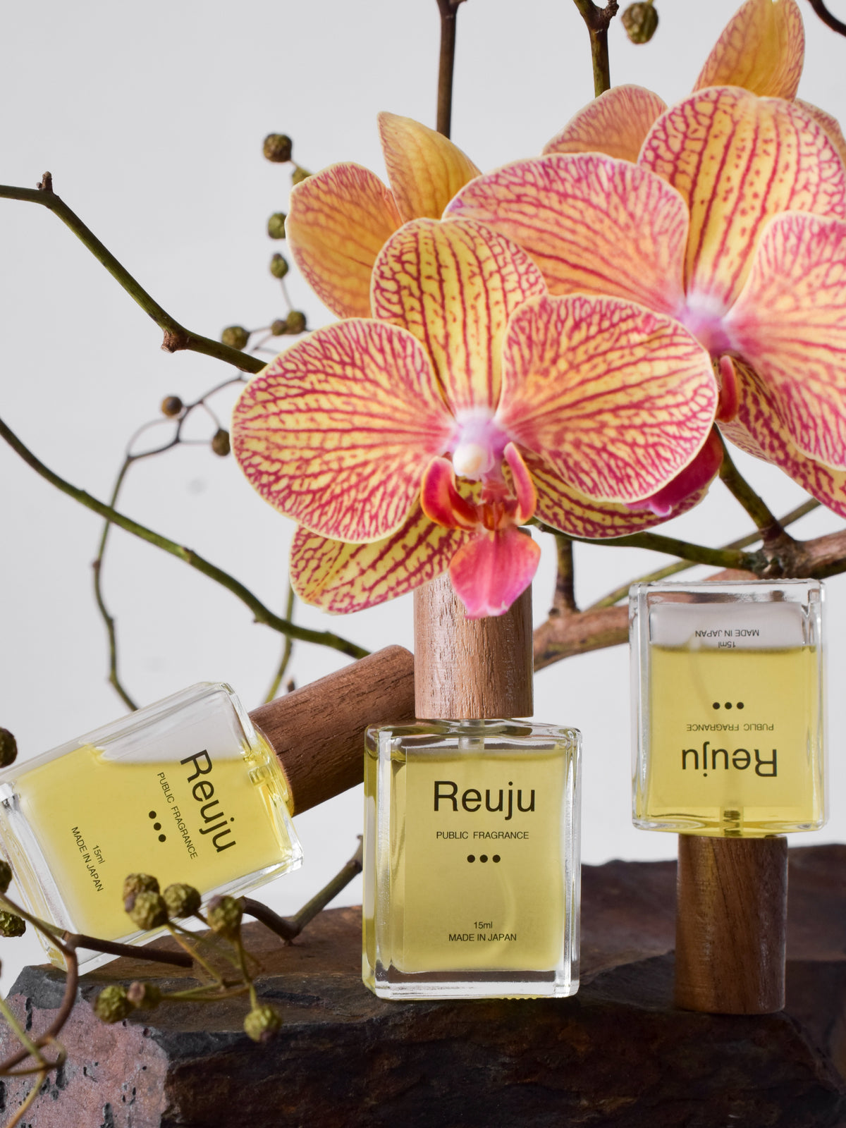 【近日発売】Reuju / PUBLIC FRAGRANCE
