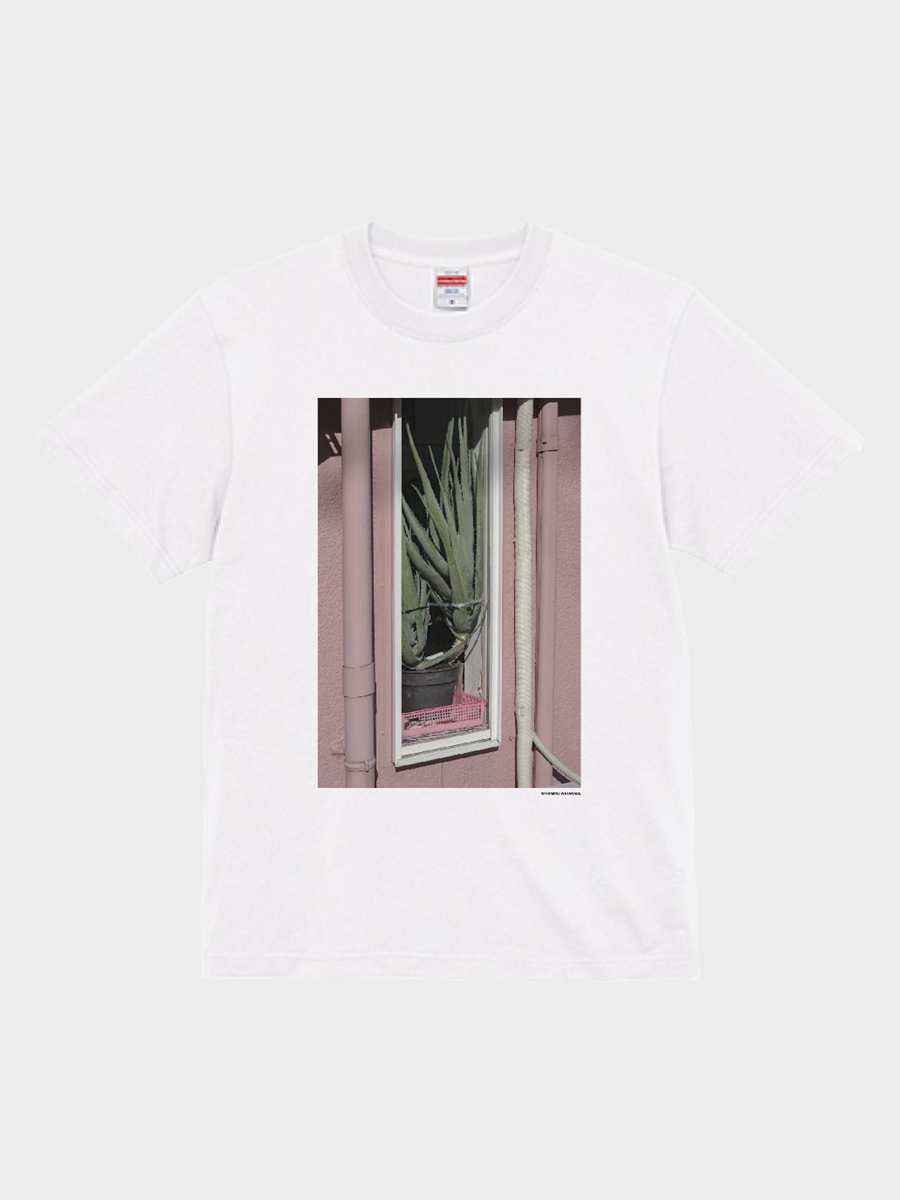 RUMIKO WATANABE / "Anonymous login" PHOTO TEE (ALOE)