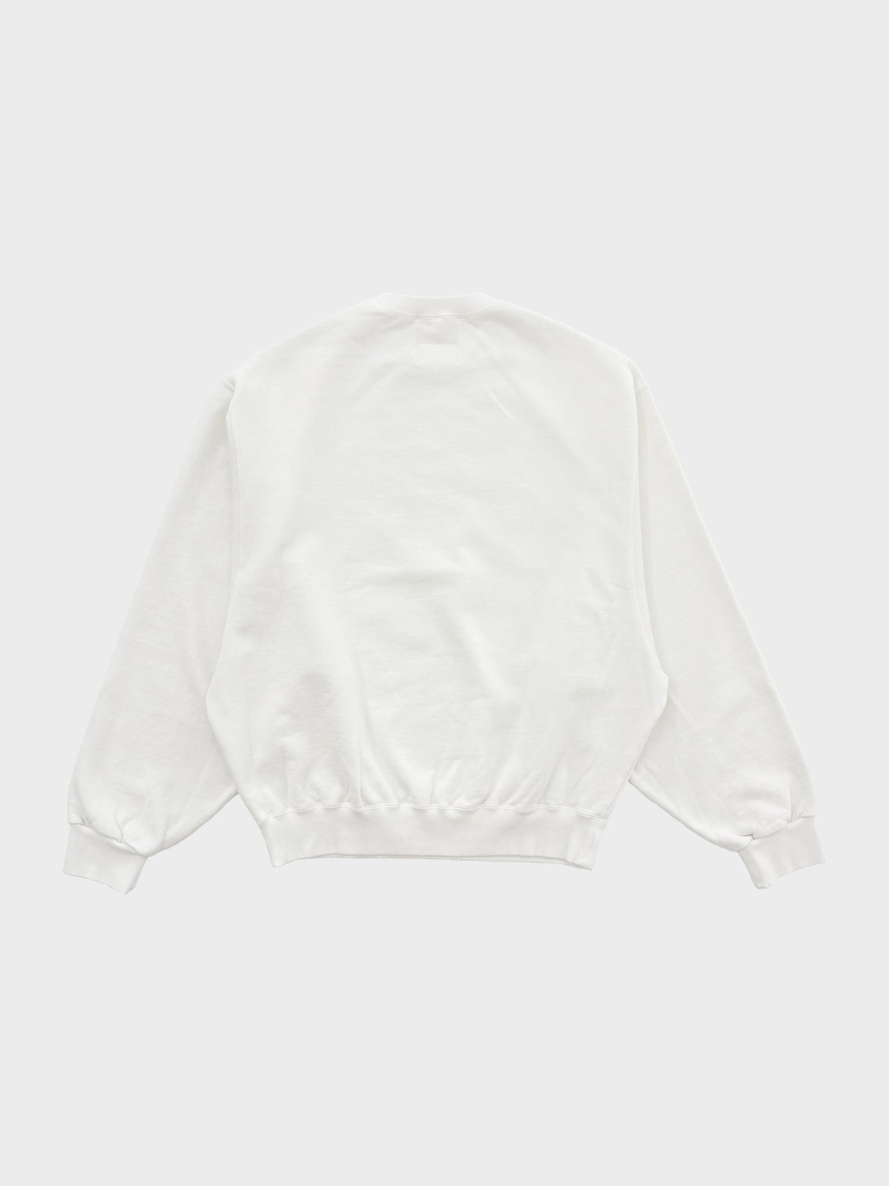 doublet / VILLAIN COVER PRINT SWEAT SHIRT (WHITE)